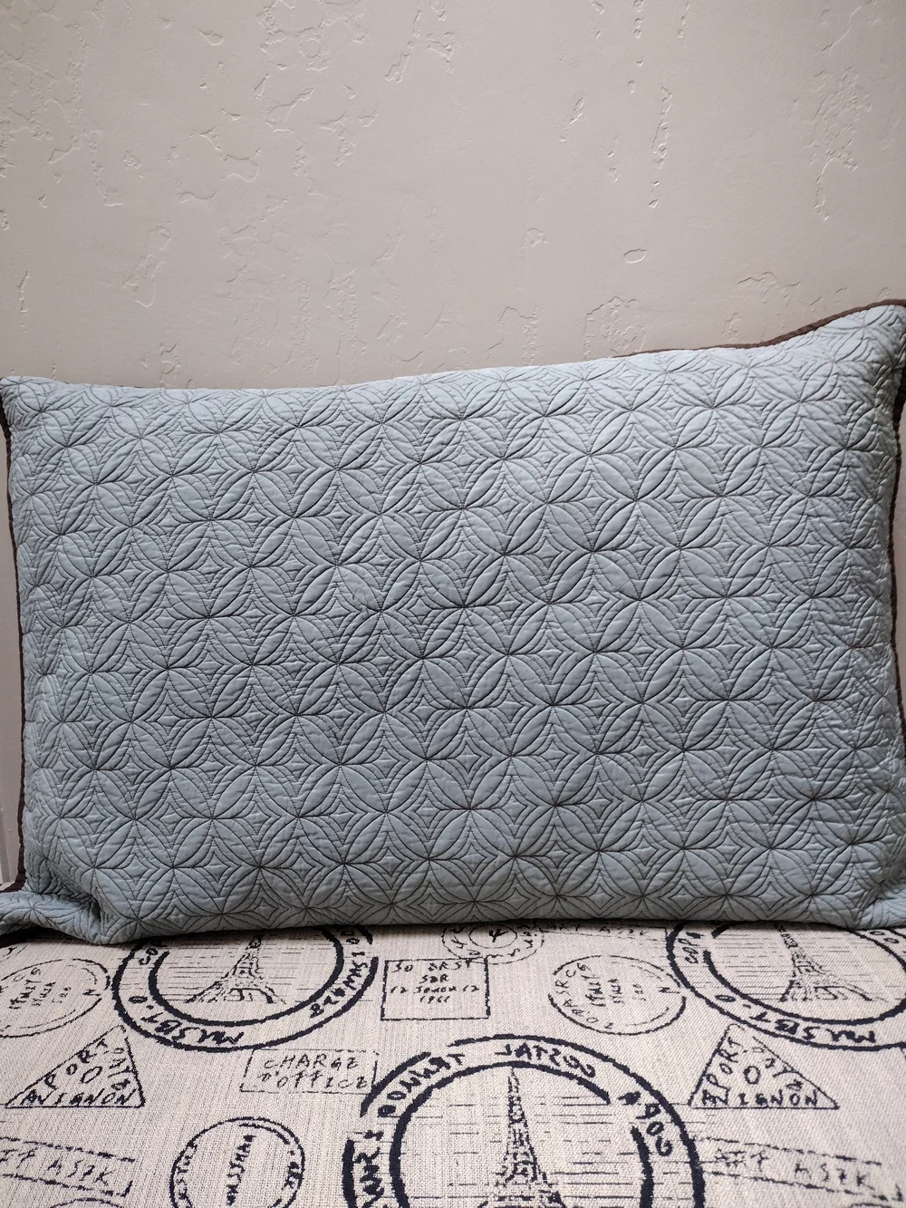 Restoration Hardware Silk Pillow Shams